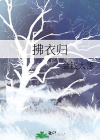 拂衣归